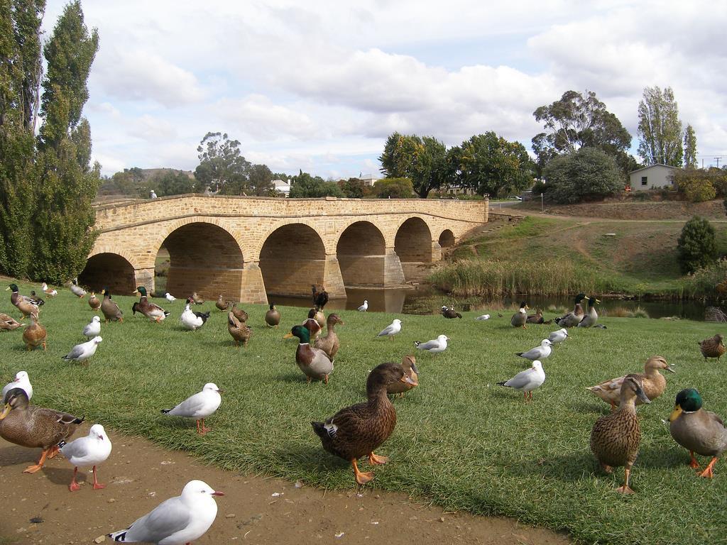 Bridge Cottages Sargeants & Armoury Cottages 1823 - History & Charm Richmond Eksteriør bilde